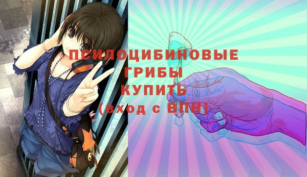 первитин Алексеевка